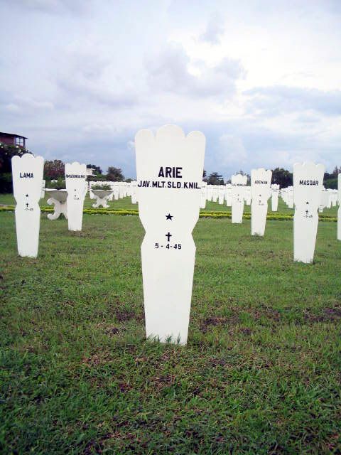 arie.2005.jpg