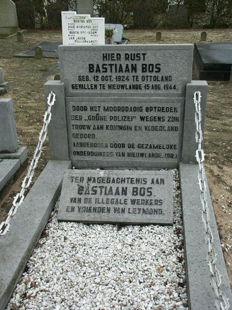 Bos(5).jpg