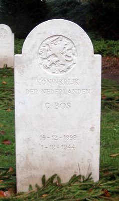 Bos C.jpg
