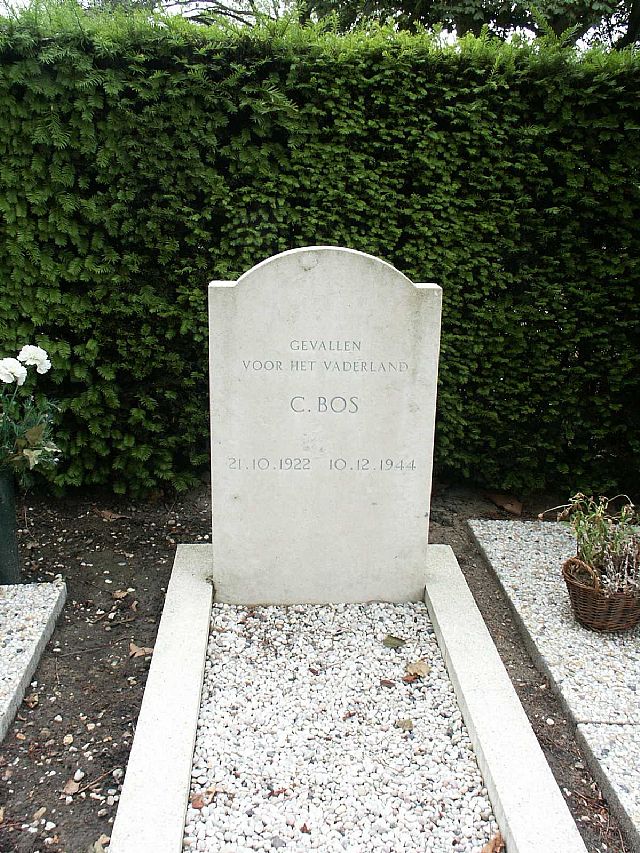 Bos(1).jpg