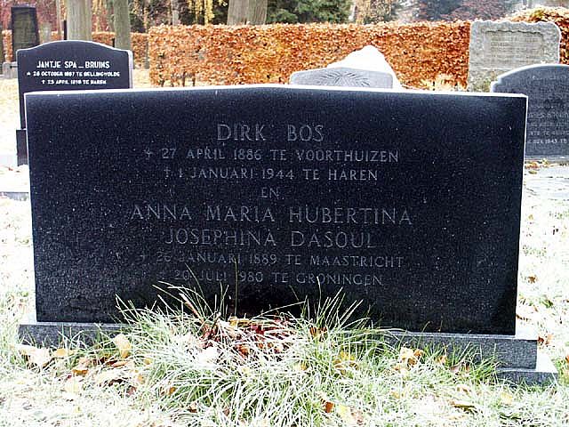 Bos D.jpg