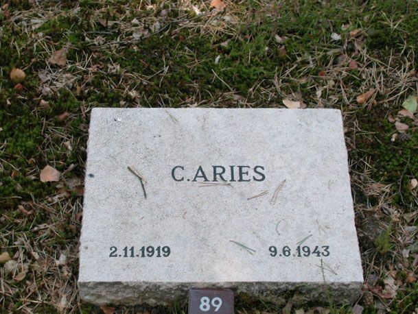 C.Aries.jpg