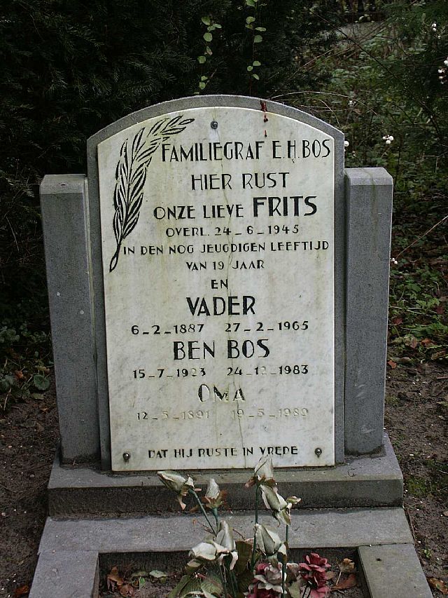 Bos.JPG