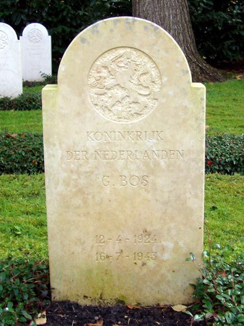 Bos G(1).jpg