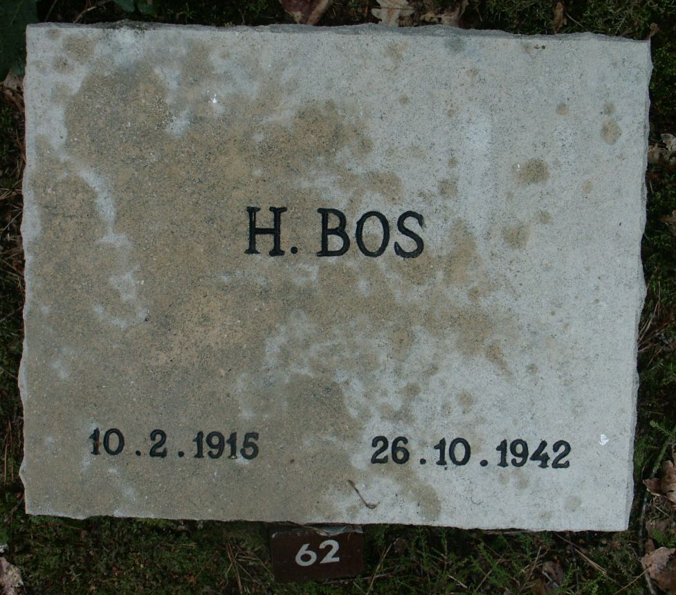 bos.h.jpg