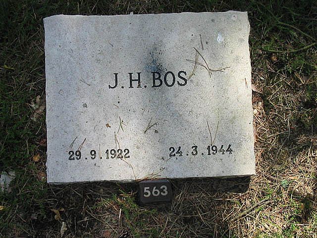 J.H.Bos(1).jpg