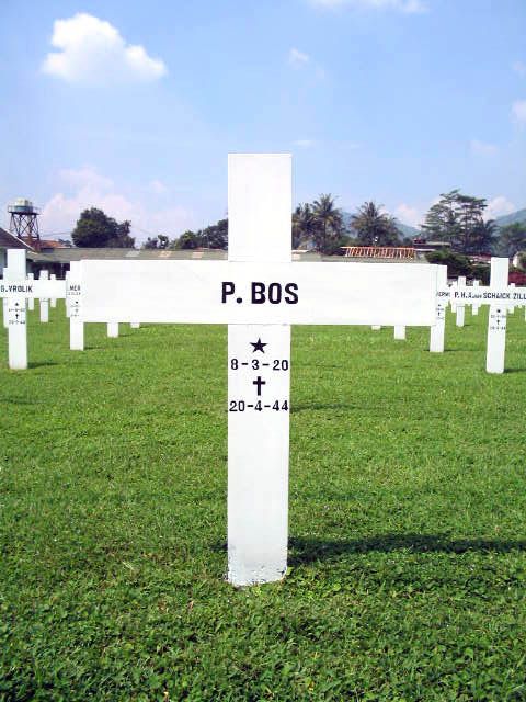 bos.p.2005.jpg
