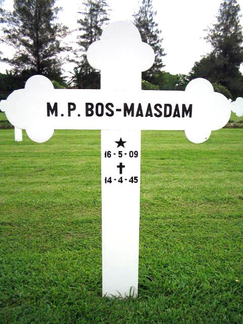 bos maasdam.m.p.2004.jpg