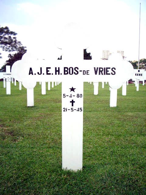 bos.vries.de.a.j.e.h.2005.jpg