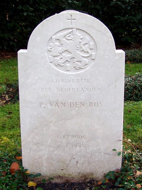 Bos v.den P.jpg
