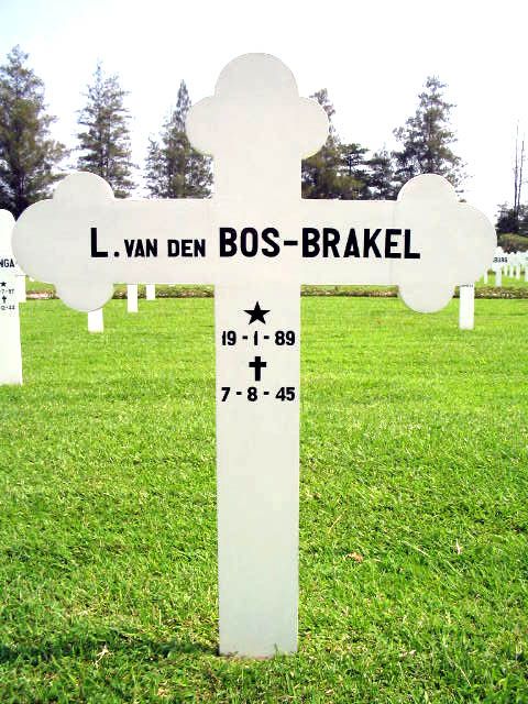bos brakel v den.l.2004.jpg