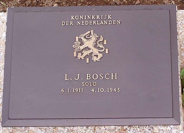 bosch.l.j.2006.jpg