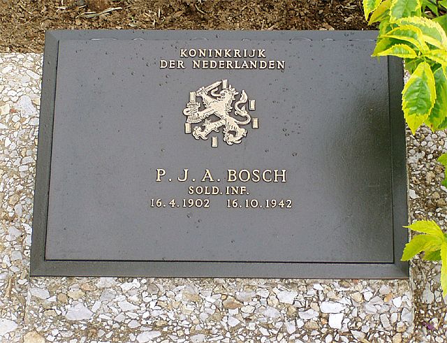 bosch.p.j.a.jpg
