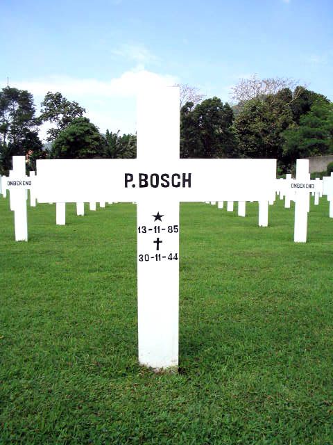 bosch.p.2005.jpg