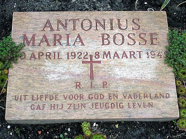 Bosse A.M.jpg