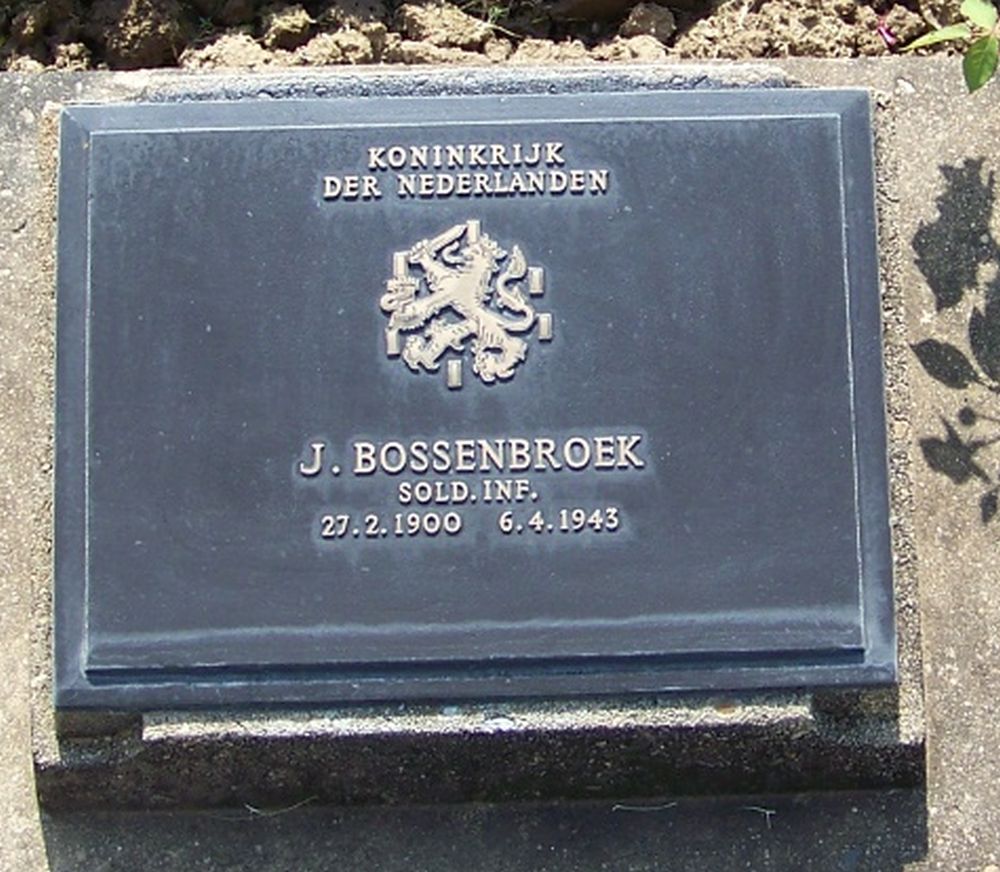 5. E. 64.JPG