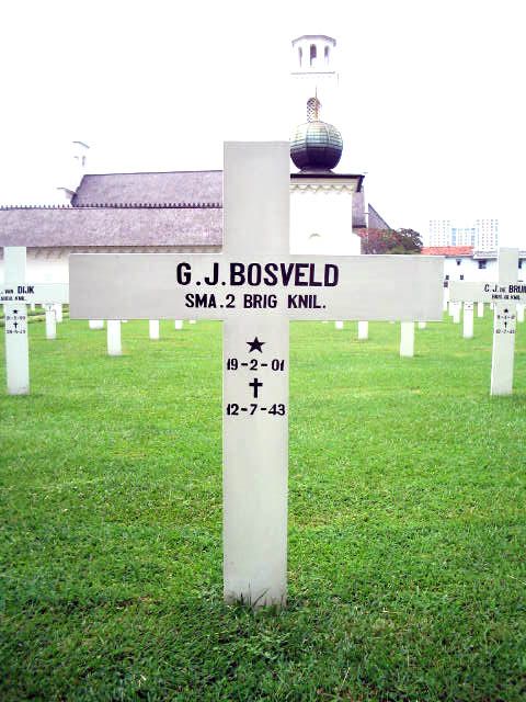 bosveld.g.j.2005.jpg