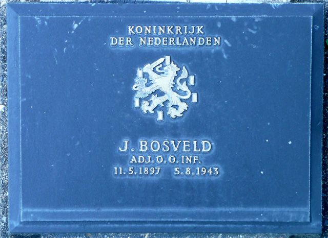 Bosveld.J.2008.jpg