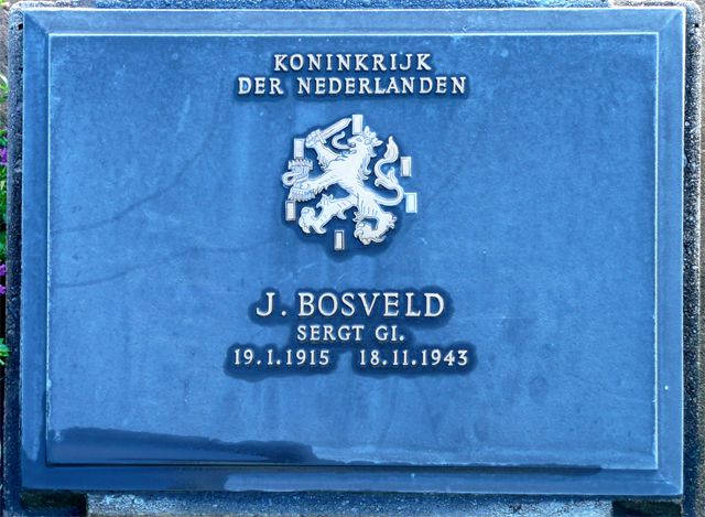 Bosveld.J.2008(1).jpg