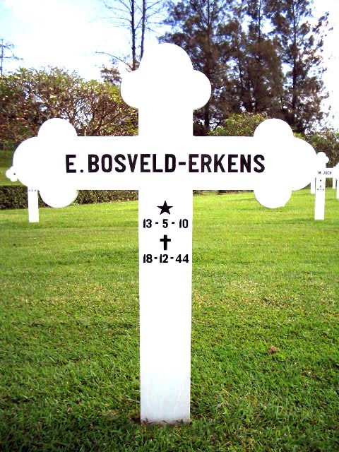 bosveld.erkens.e.2004.jpg