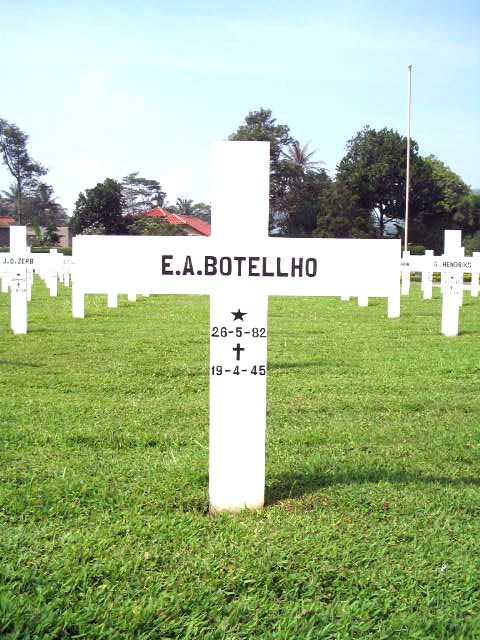 botellho.e.a.2005.jpg