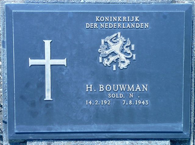 Bouwman.H.2008.jpg
