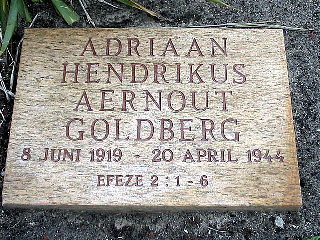 Goldberg A.H.A.jpg