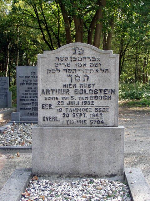 Goldstein A.I.2004.jpg