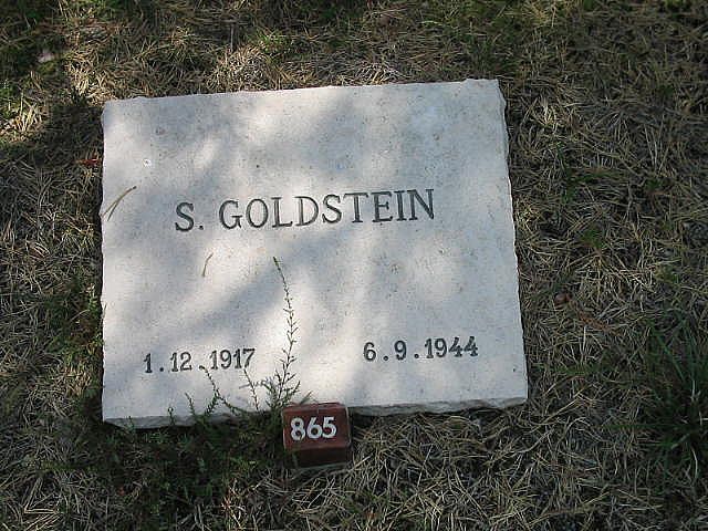 S.Goldstein.JPG