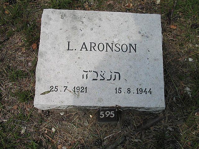 L.Aronson.jpg