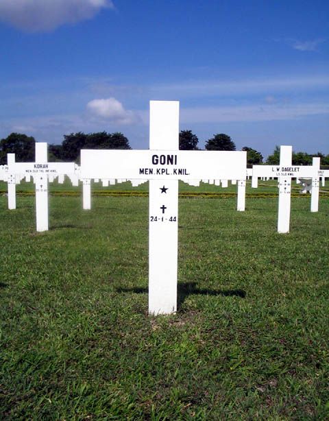 goni.24.1.44.2005.jpg