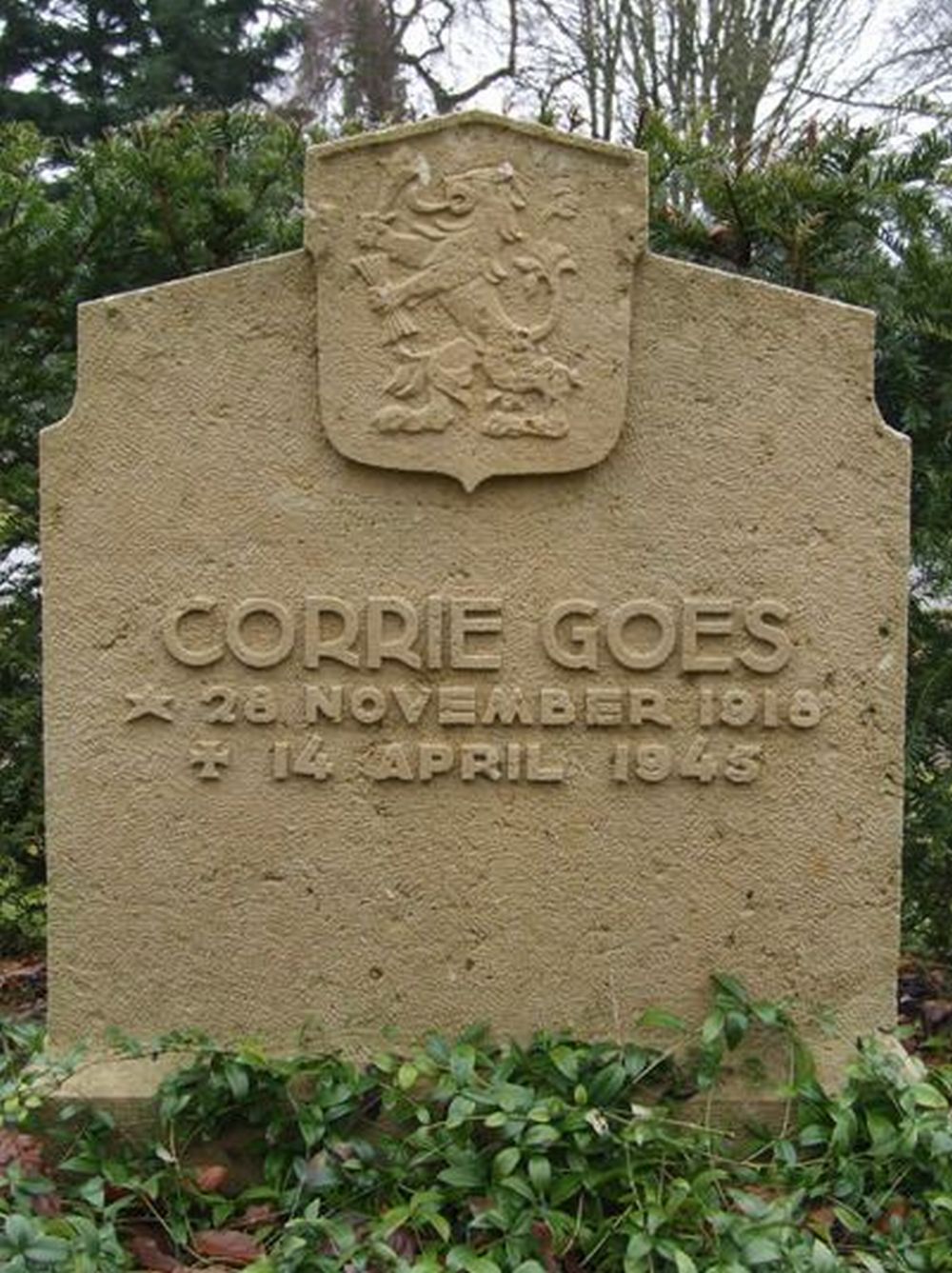 graffoto goos.JPG