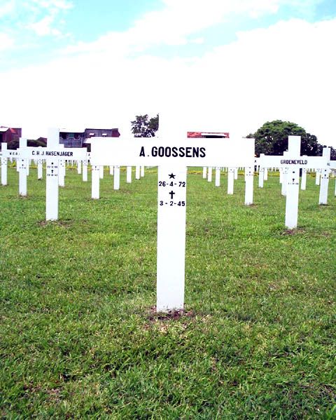 goossens.a.2005.jpg