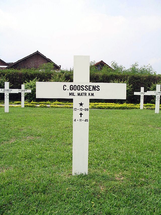 goossens c.2004.jpg