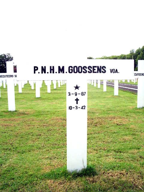 goossens.p.n.h.m.2005.jpg