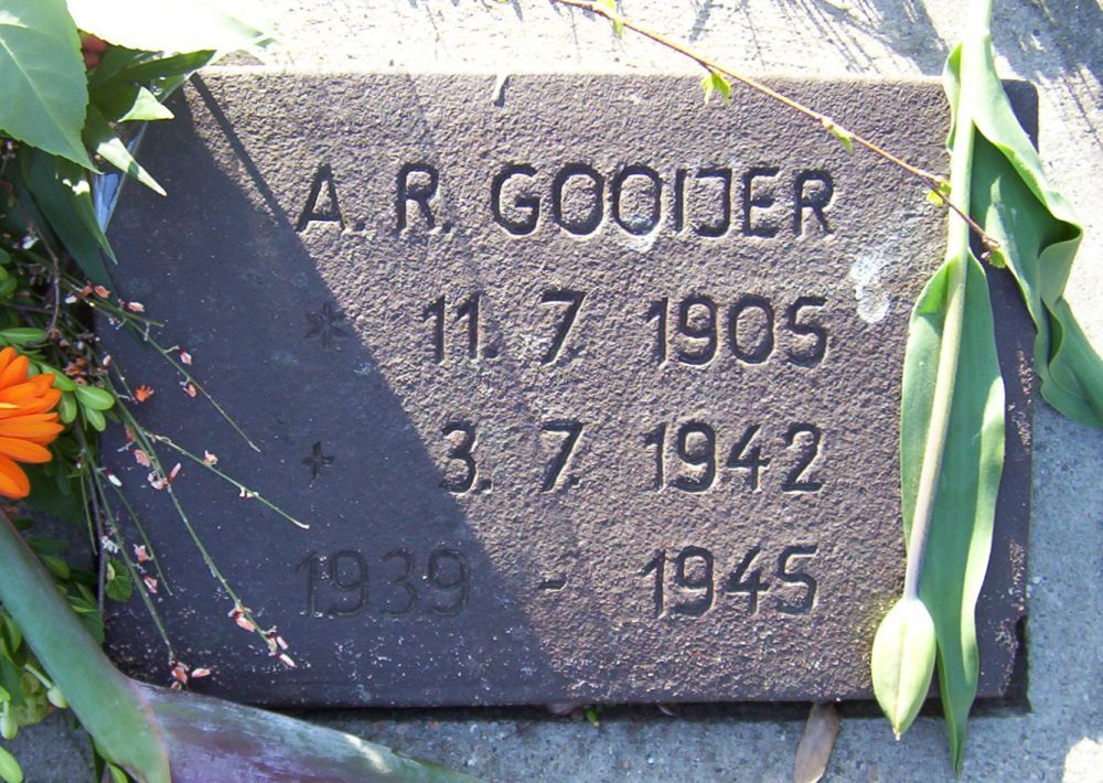 gooijer.a.r.2010.jpg