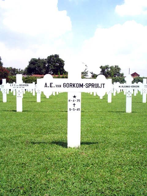 gorkom.van.spruijt.a.e.2005.jpg
