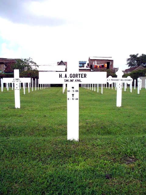 gorter.h.a.2005.jpg