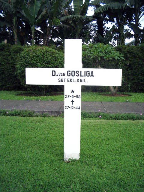 gosliga.van.d.2005.jpg