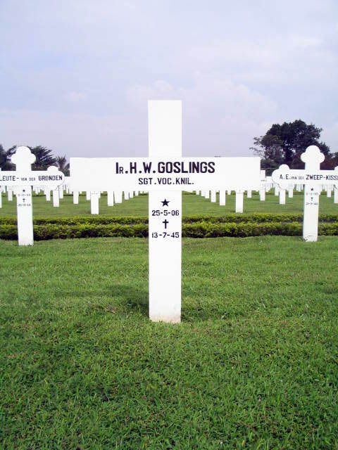 goslings.h.w.2005.jpg
