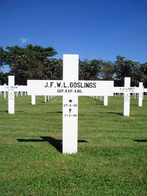 goslings.j.f.w.l.2005.jpg