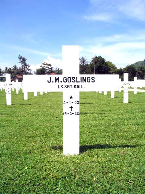 goslings.j.m.2005.jpg