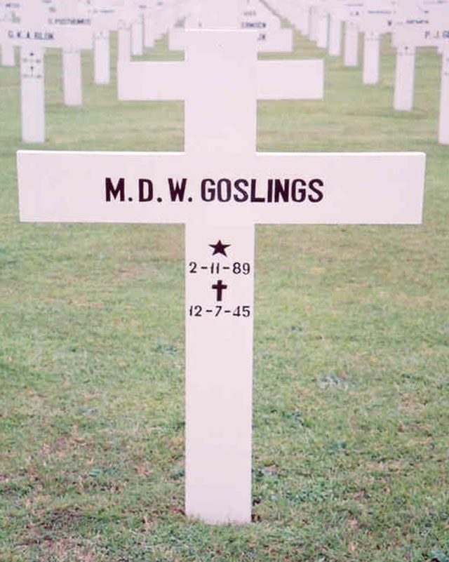goslings.m.d.w.2006.jpg