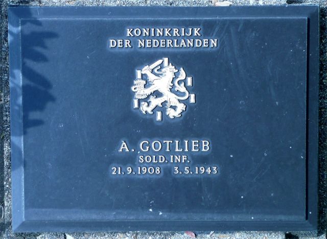 Gotlieb.A.2008.jpg