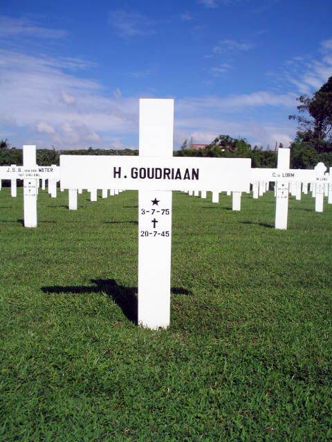 goudriaan.h.2005.jpg