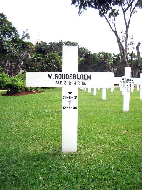 goudsbloem.w.2005.jpg