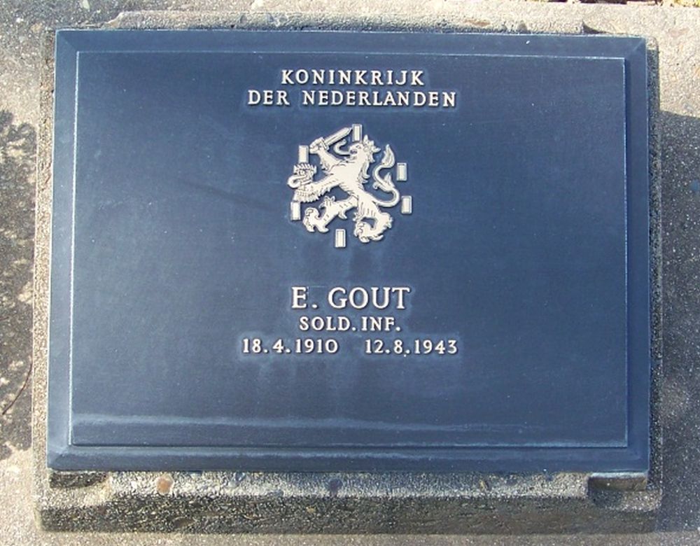 Gout E.jpg