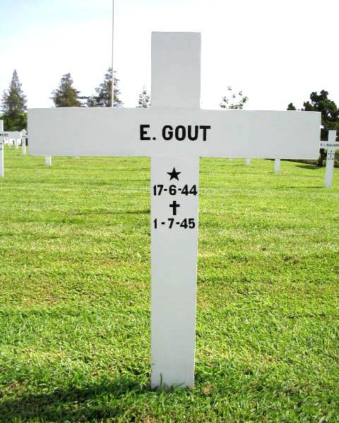 gout e.2004.jpg.JPG