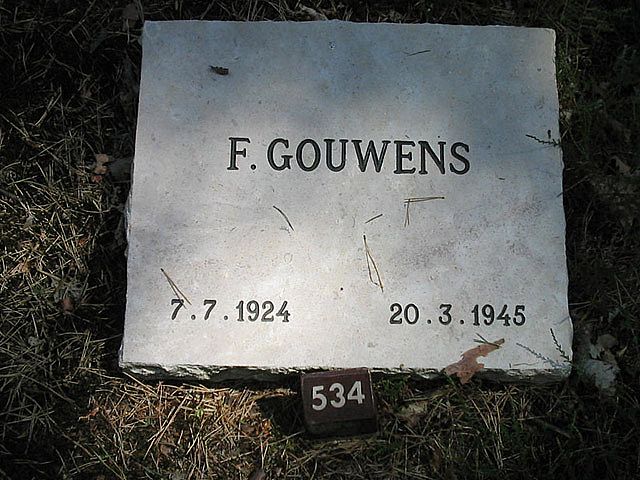 F.Gouwens.jpg