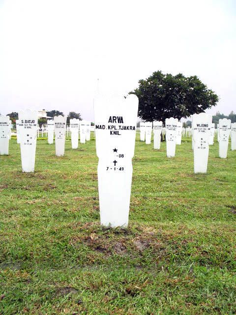 arva.2005.jpg